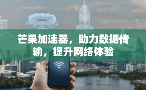 芒果加速器，助力数据传输，提升网络体验