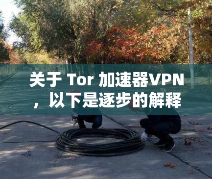 关于 Tor 加速器VPN，以下是逐步的解释和答案