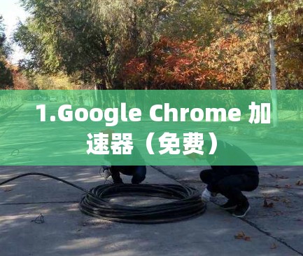 1.Google Chrome 加速器（免费）
