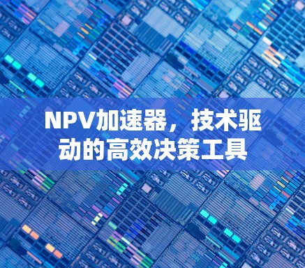 NPV加速器,技术驱动的高效决策工具 NPV加速器,技术驱动的高效决策工具