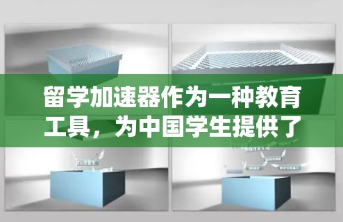 留学加速器作为一种教育工具，为中国学生提供了高效的学习机会，但其成功与否依赖多个因素。以下是对留学加速器的系统性分析
