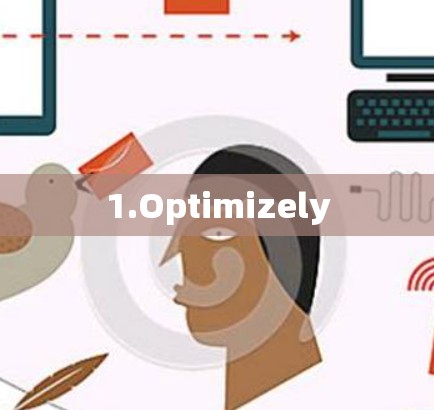1.Optimizely