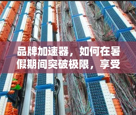 品牌加速器,如何在暑假期间突破极限,享受无限速度! 品牌加速器,如何在暑假期间突破极限,享受无限速度!