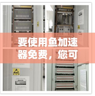 要使用鱼加速器免费，您可以按照以下步骤操作