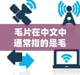 毛片在中文中通常指的是毛片这个品牌，或者可能有其他含义。如果您是指毛片这个品牌，可能是指一些运动或游戏的加速器工具。不过，免费加速器这个词可能不太常见，通常我们会用免费加速器或专业加速器来描述