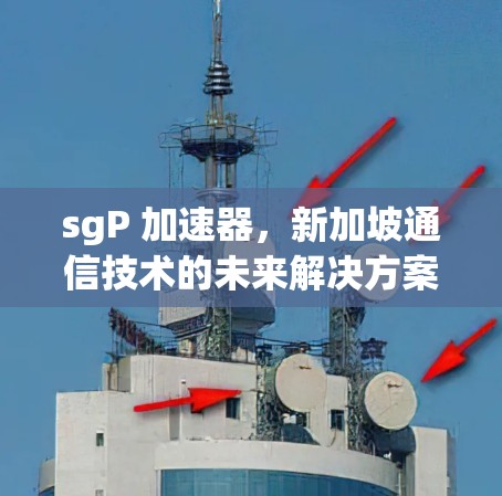 sgP 加速器，新加坡通信技术的未来解决方案