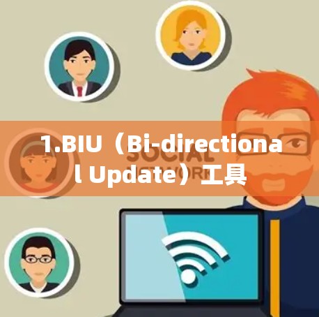 1.BIU（Bi-directional Update）工具