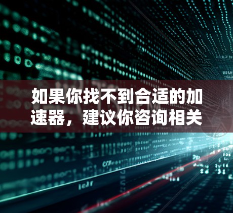 如果你找不到合适的加速器，建议你咨询相关平台或信任的加速平台，确保选择的是合法、安全的工具