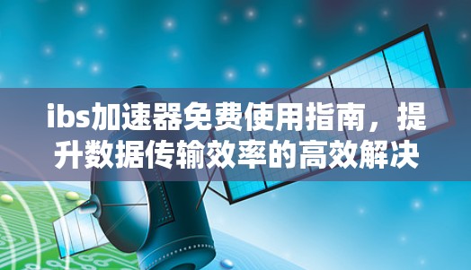 ibs加速器免费使用指南，提升数据传输效率的高效解决方案