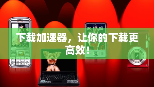 下载加速器,让你的下载更高效! 下载加速器,让你的下载更高效!