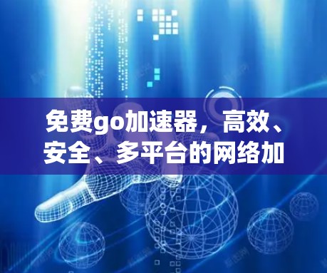 免费go加速器,高效、安全、多平台的网络加速解决方案 免费go加速器,高效、安全、多平台的网络加速解决方案