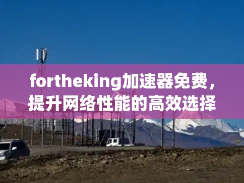 fortheking加速器免费,提升网络性能的高效选择 fortheking加速器免费,提升网络性能的高效选择