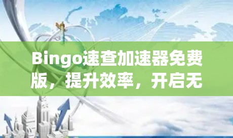 Bingo速查加速器免费版，提升效率，开启无限可能