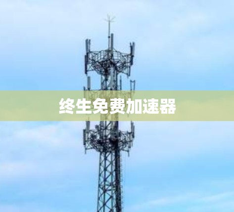终生免费加速器