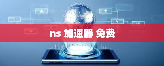 ns 加速器 免费