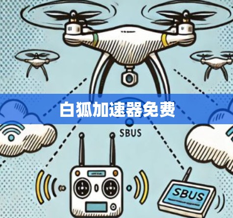 白狐加速器免费