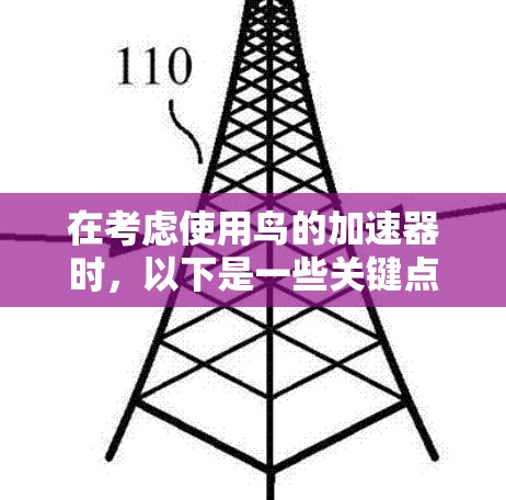 在考虑使用鸟的加速器时，以下是一些关键点，帮助你做出明智的选择