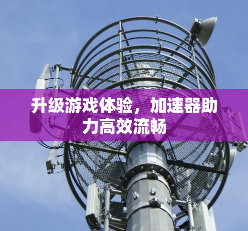 升级游戏体验，加速器助力高效流畅