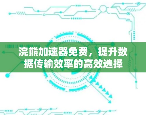 浣熊加速器免费，提升数据传输效率的高效选择