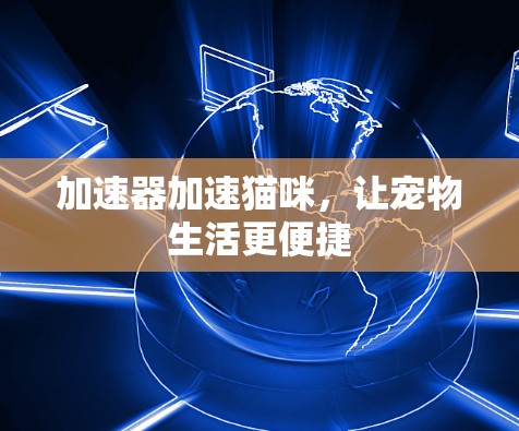 加速器加速猫咪，让宠物生活更便捷