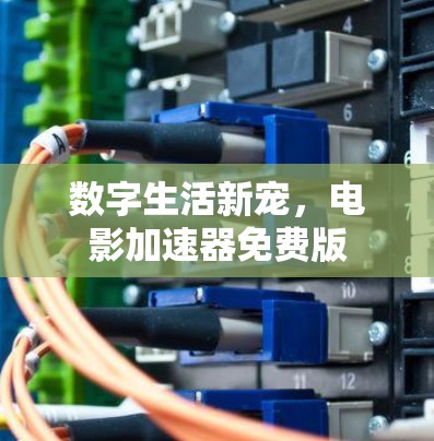 数字生活新宠,电影加速器免费版 数字生活新宠,电影加速器免费版
