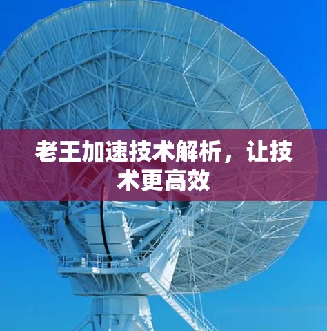 老王加速技术解析，让技术更高效