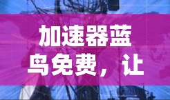 加速器蓝鸟免费，让技术更上一层楼