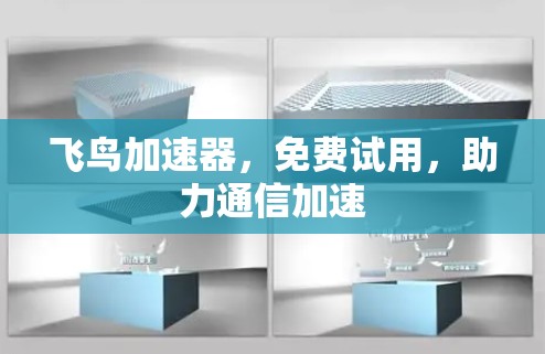 飞鸟加速器，免费试用，助力通信加速