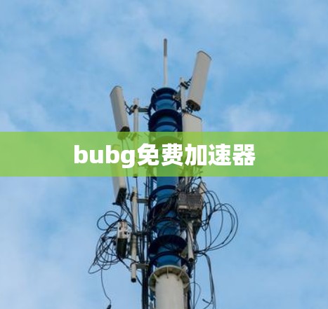 bubg免费加速器 bubg免费加速器