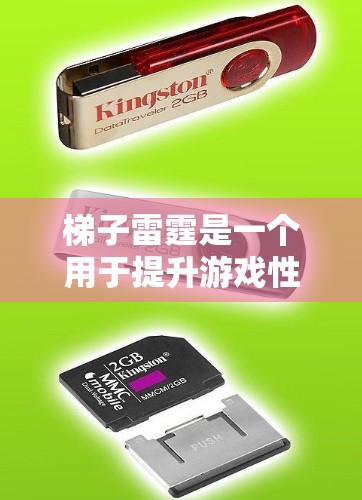 梯子雷霆是一个用于提升游戏性能的加速器，通过优化游戏程序和硬件配置来提高游戏运行速度和流畅度。以下是关于梯子雷霆加速器的详细解答