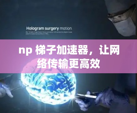 np 梯子加速器，让网络传输更高效