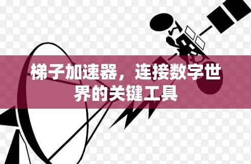 梯子加速器,连接数字世界的关键工具 梯子加速器,连接数字世界的关键工具