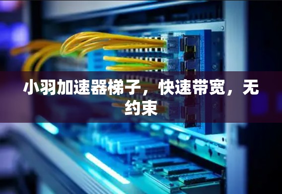 小羽加速器梯子,快速带宽,无约束 小羽加速器梯子,快速带宽,无约束