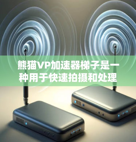 熊猫VP加速器梯子是一种用于快速拍摄和处理视频的综合系统，通过多个层级的技术和功能，帮助用户高效完成视频拍摄、存储、上传和处理过程。以下是该系统的主要组成部分和功能