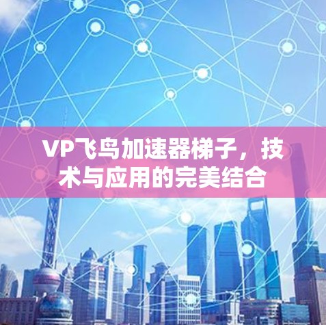 VP飞鸟加速器梯子，技术与应用的完美结合