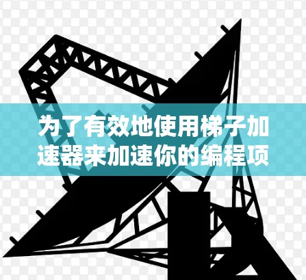 为了有效地使用梯子加速器来加速你的编程项目，以下是一个系统化的指南
