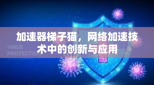 加速器梯子猫,网络加速技术中的创新与应用 加速器梯子猫,网络加速技术中的创新与应用
