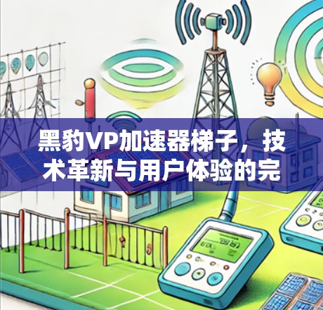 黑豹VP加速器梯子,技术革新与用户体验的完美结合 黑豹VP加速器梯子,技术革新与用户体验的完美结合