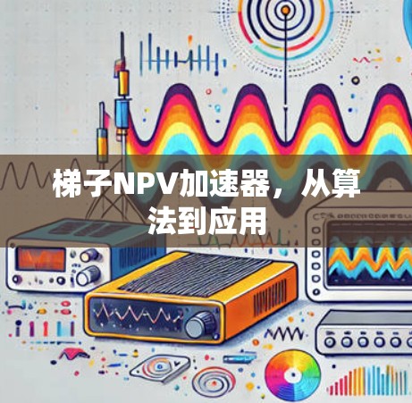 梯子NPV加速器，从算法到应用