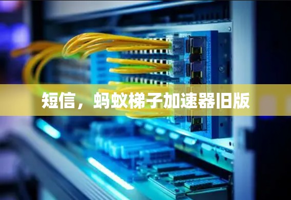 短信,蚂蚁梯子加速器旧版 短信,蚂蚁梯子加速器旧版
