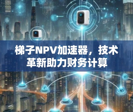 梯子NPV加速器,技术革新助力财务计算 梯子NPV加速器,技术革新助力财务计算