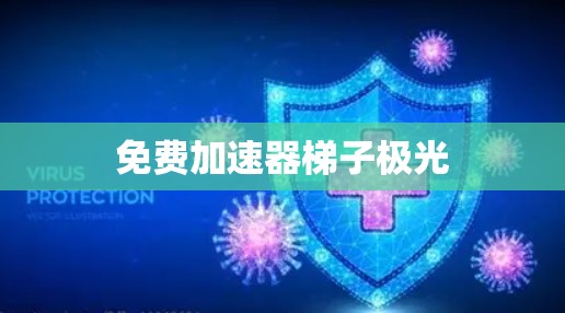 免费加速器梯子极光