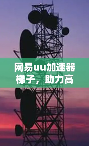 网易uu加速器梯子，助力高效数据传输的解决方案