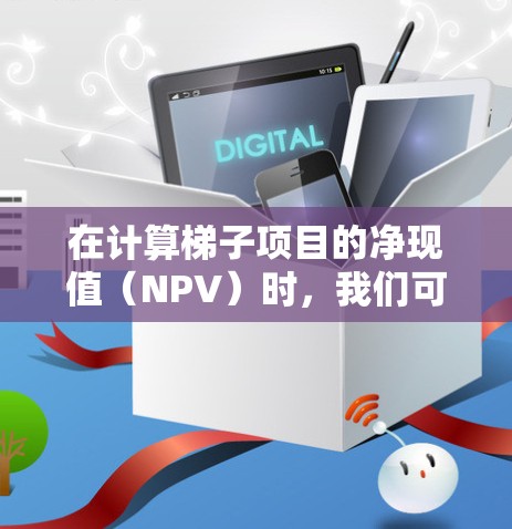 在计算梯子项目的净现值(NPV)时,我们可以按照以下步骤进行 在计算梯子项目的净现值(NPV)时,我们可以按照以下步骤进行