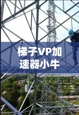 梯子VP加速器小牛可能是一个特定于项目管理或产品开发领域的术语，具体含义可能因上下文而异。为了更好地帮助您理解这一概念，我将尝试解释可能的含义，并提供一些解决方案或建议