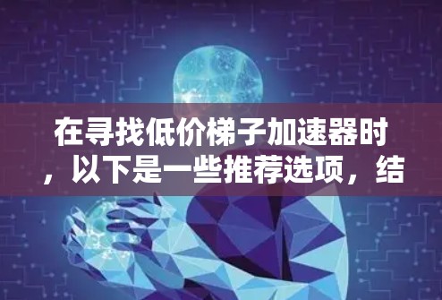 在寻找低价梯子加速器时，以下是一些推荐选项，结合免费版和付费版的功能，帮助您做出明智的选择