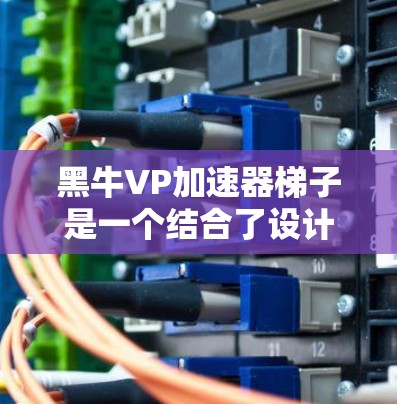黑牛VP加速器梯子是一个结合了设计和功能的工具，旨在帮助用户提升工作效率。以下是对该产品的详细分析