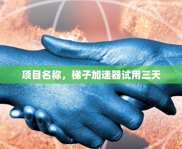 项目名称，梯子加速器试用三天
