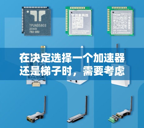 在决定选择一个加速器还是梯子时，需要考虑多个因素，包括需求、维护成本、地区偏好以及具体的应用场景。以下是对两种工具的详细分析和推荐