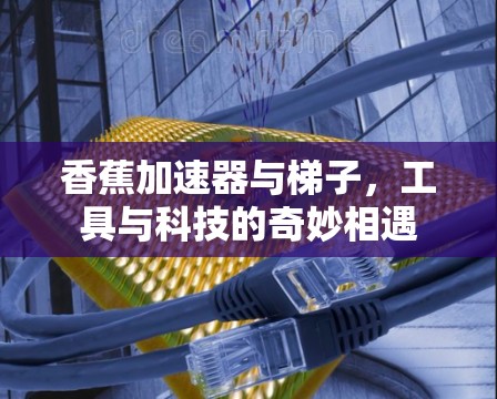 香蕉加速器与梯子，工具与科技的奇妙相遇